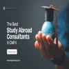 abroad consultant